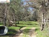 17060 Jupiter Dr. - Photo 21
