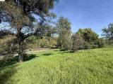 8534 Wilcox Ranch Road - Photo 16