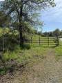 8534 Wilcox Ranch Road - Photo 3