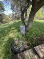 8534 Wilcox Ranch Road - Photo 10