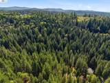 5890 Starkes Grade Rd - Photo 13