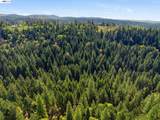5890 Starkes Grade Rd - Photo 14