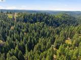5890 Starkes Grade Rd - Photo 21