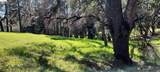 19808 Cottonwood St - Photo 6