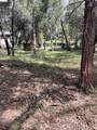 16594 Creekside Dr - Photo 1