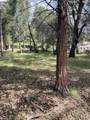 16594 Creekside Dr - Photo 3