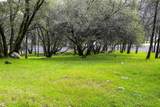 19077 Apple Valley Dr. - Photo 12