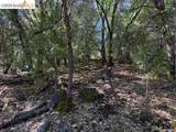 21344 Green Meadow Ln - Photo 1