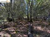 21344 Green Meadow Ln - Photo 2