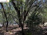 21344 Green Meadow Ln - Photo 11