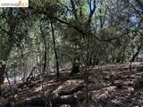 21344 Green Meadow Ln - Photo 4