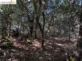 21344 Green Meadow Ln - Photo 5