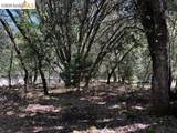 21344 Green Meadow Ln - Photo 7