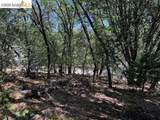 21344 Green Meadow Ln - Photo 8