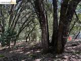 21344 Green Meadow Ln - Photo 9