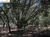 21344 Green Meadow Ln - Photo 10