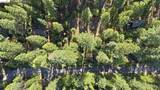 Lot 388 Kerns - Photo 13