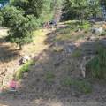 0000 Woodrow Drive - Photo 9