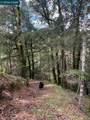 56025 Highway 101 - Photo 11