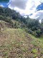 56025 Highway 101 - Photo 12