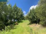 56025 Highway 101 - Photo 14