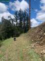 56025 Highway 101 - Photo 15
