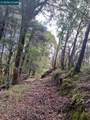 56025 Highway 101 - Photo 16