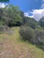 56025 Highway 101 - Photo 20