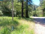 56025 Highway 101 - Photo 3