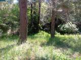 56025 Highway 101 - Photo 5