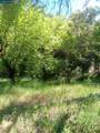 56025 Highway 101 - Photo 7