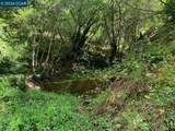 56025 Highway 101 - Photo 9
