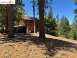 19364 Ferretti Rd - Photo 3