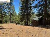 19364 Ferretti Rd - Photo 4