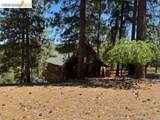 19364 Ferretti Rd - Photo 5