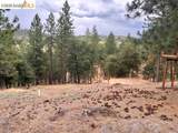 19364 Ferretti Rd - Photo 6