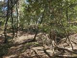 12 Vista Del Orinda - Photo 12