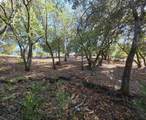 12 Vista Del Orinda - Photo 19