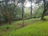 12 Vista Del Orinda - Photo 6