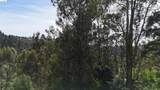 2551 Tunnel Rd - Photo 5