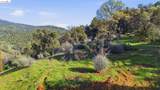 11676 Hemphill Ln - Photo 11