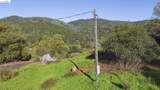 11676 Hemphill Ln - Photo 16