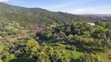 11676 Hemphill Ln - Photo 9