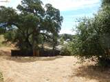 512 Crazy Horse Ct - Photo 16