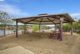 4459 Council Trl - Photo 16