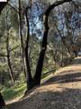 22550 Upper Quail Mine Rd - Photo 8