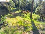 18516 Mastadon Mine Rd - Photo 1