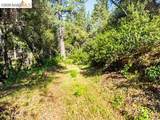 18516 Mastadon Mine Rd - Photo 2