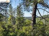 18516 Mastadon Mine Rd - Photo 5