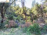 18516 Mastadon Mine Rd - Photo 6